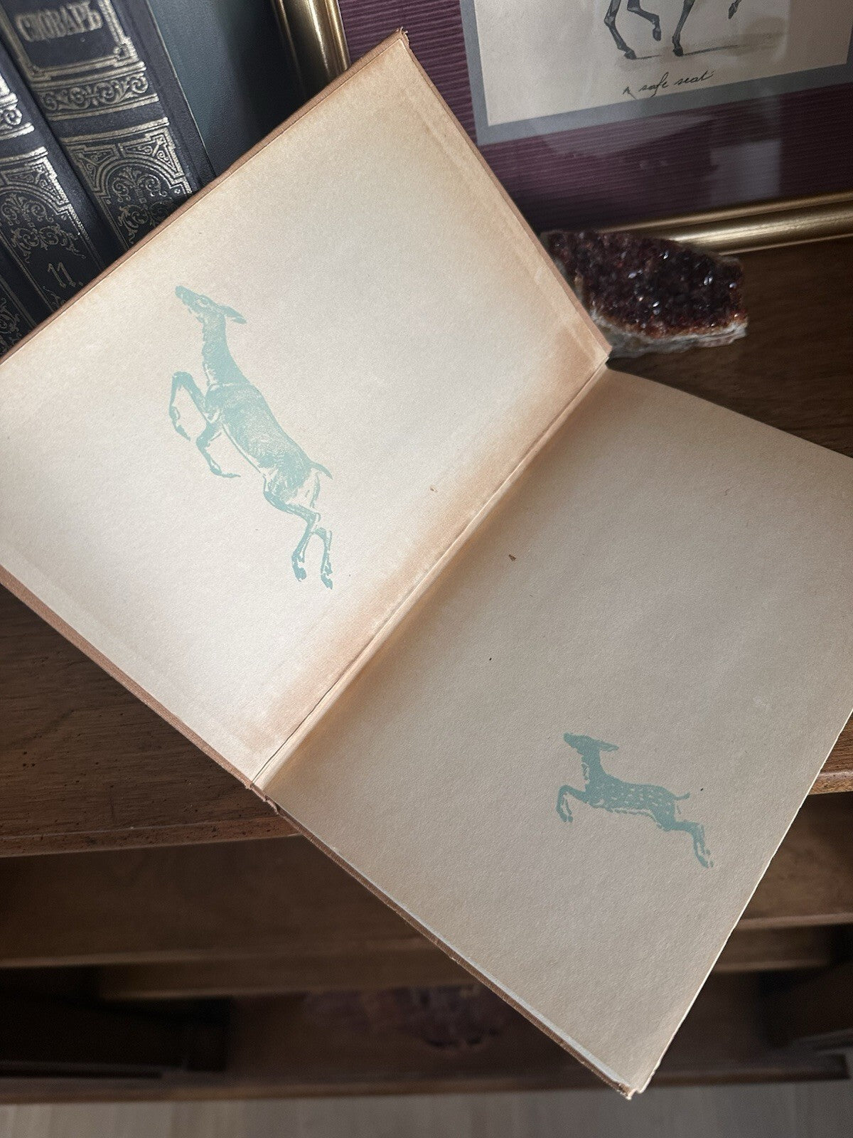 Vintage 1929 Bambi by Felix Salten, Grosset and Dunlap hardcover, photo 4