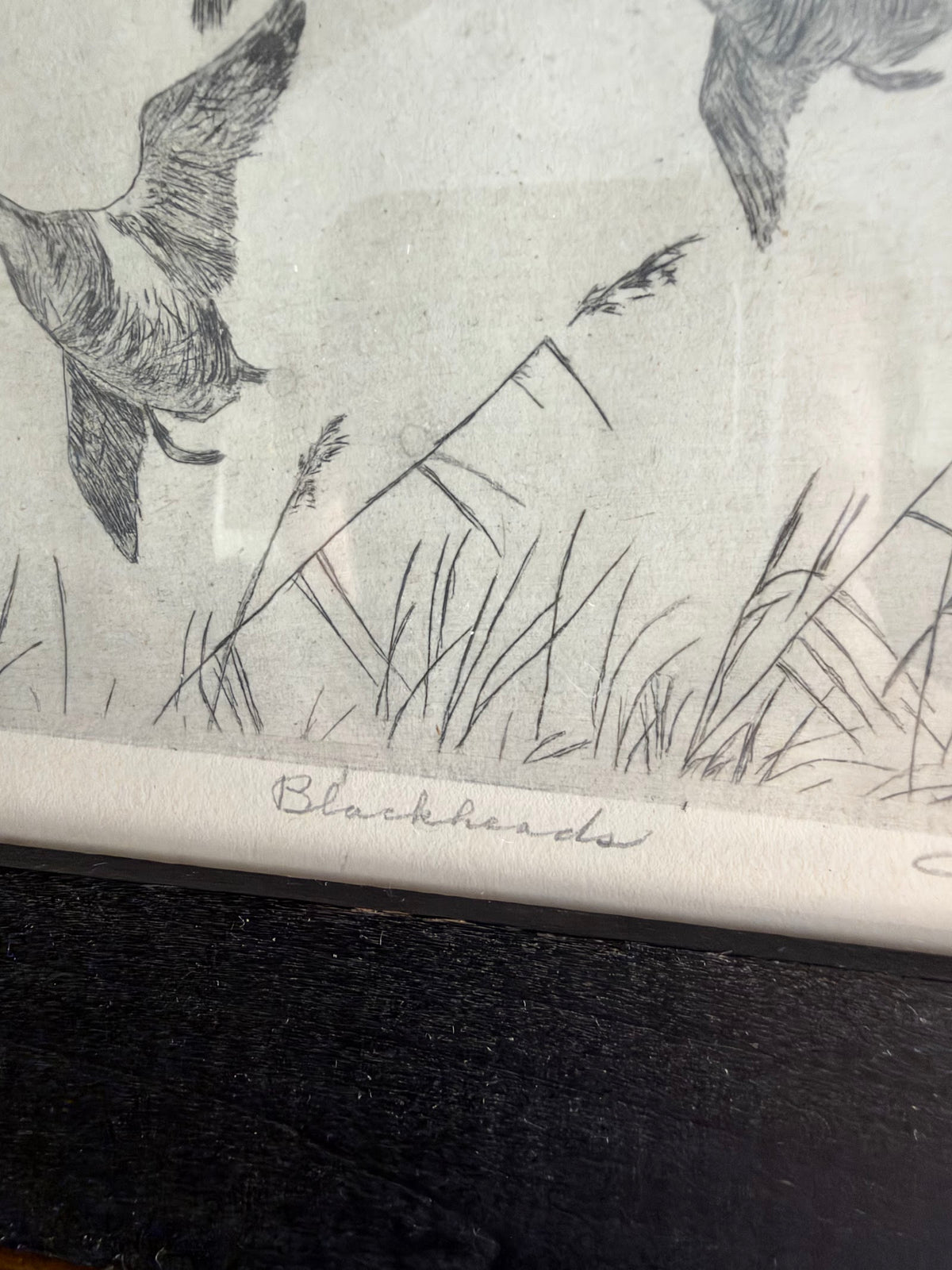 Don Swann Jr. Blackheads Signed Etching, Vintage Gold Frame view 2