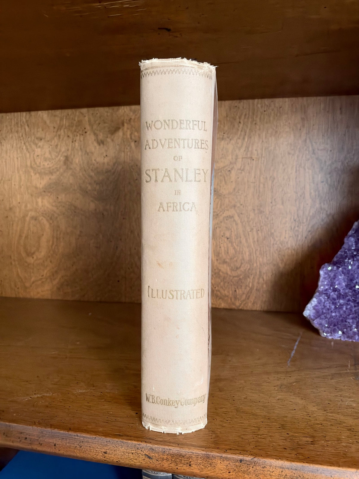 Antique Stanley in Africa Illustrated Hardcover Book, Conkey 1899 view 3
