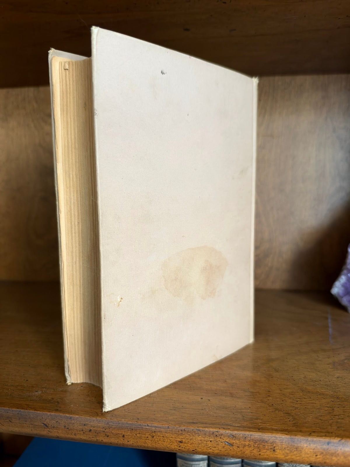 Antique Stanley in Africa Illustrated Hardcover Book, Conkey 1899 view 4