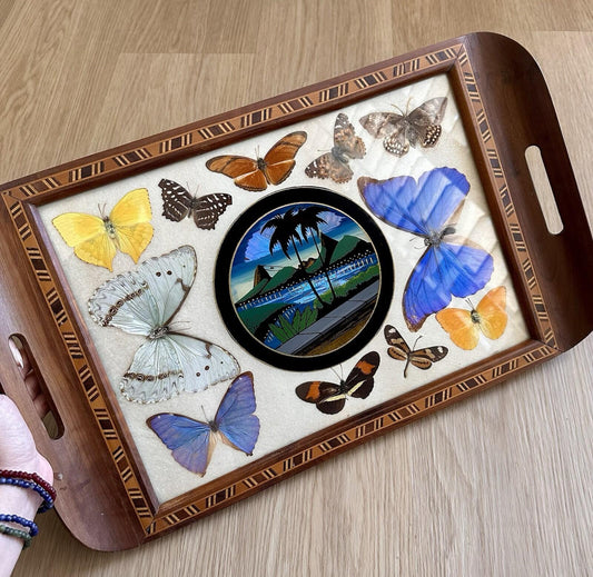 Vintage Butterfly Taxidermy Serving Tray Brazilian Wood Inlay Morpho Butterflies