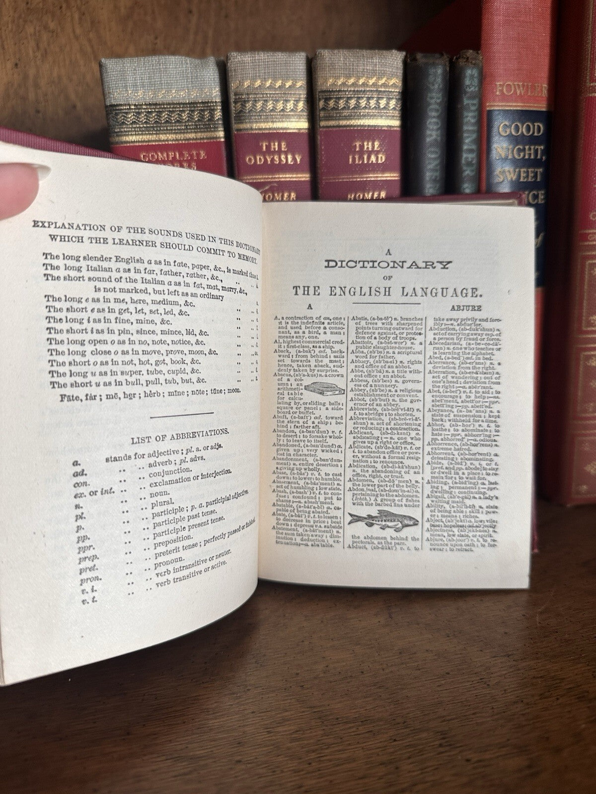 Antique 1895 A Concise Webster's Dictionary, red cloth hardcover, photo 6